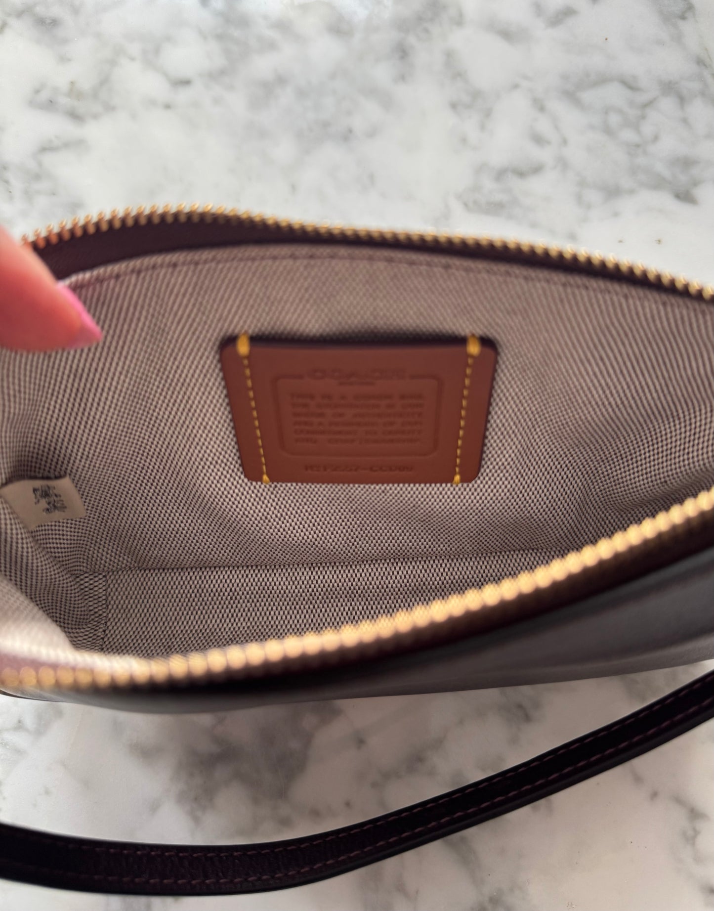 COACH Plaza 18 Mini Pouchette Bag