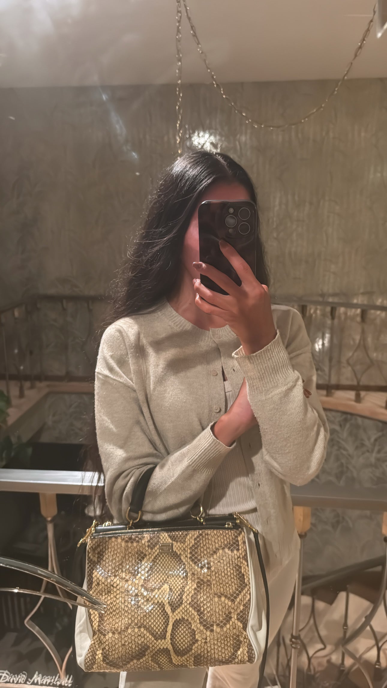Dolce & Gabbana Snakeskin Bag