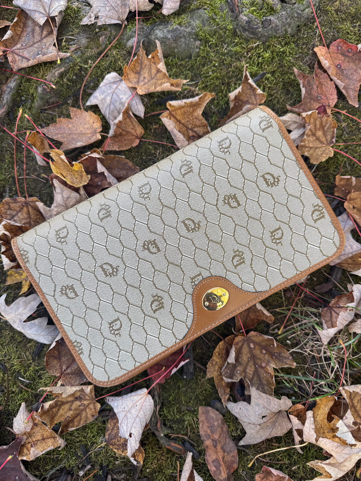 Vintage Dior Crossbody/Clutch