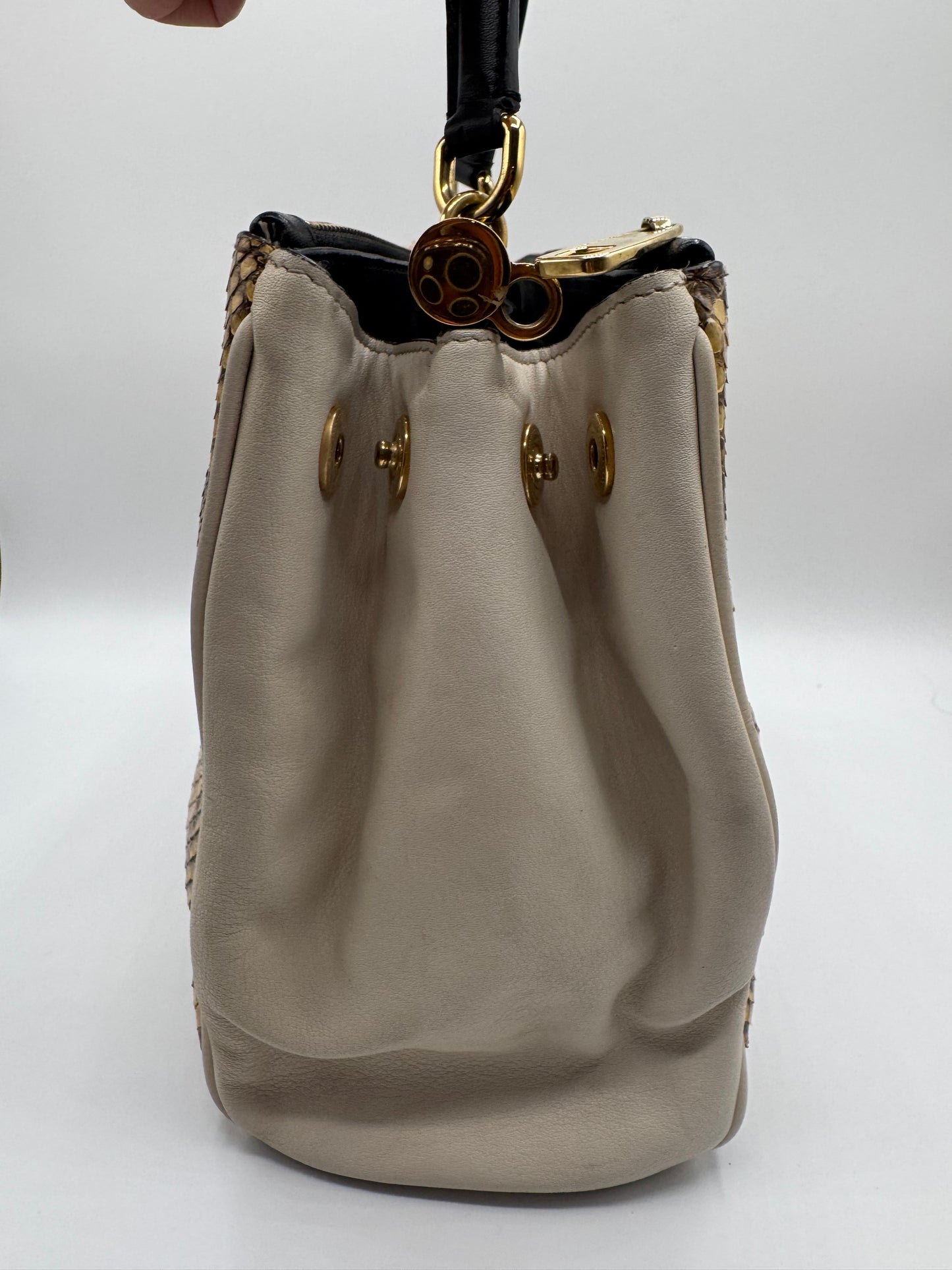 Dolce & Gabbana Snakeskin Bag