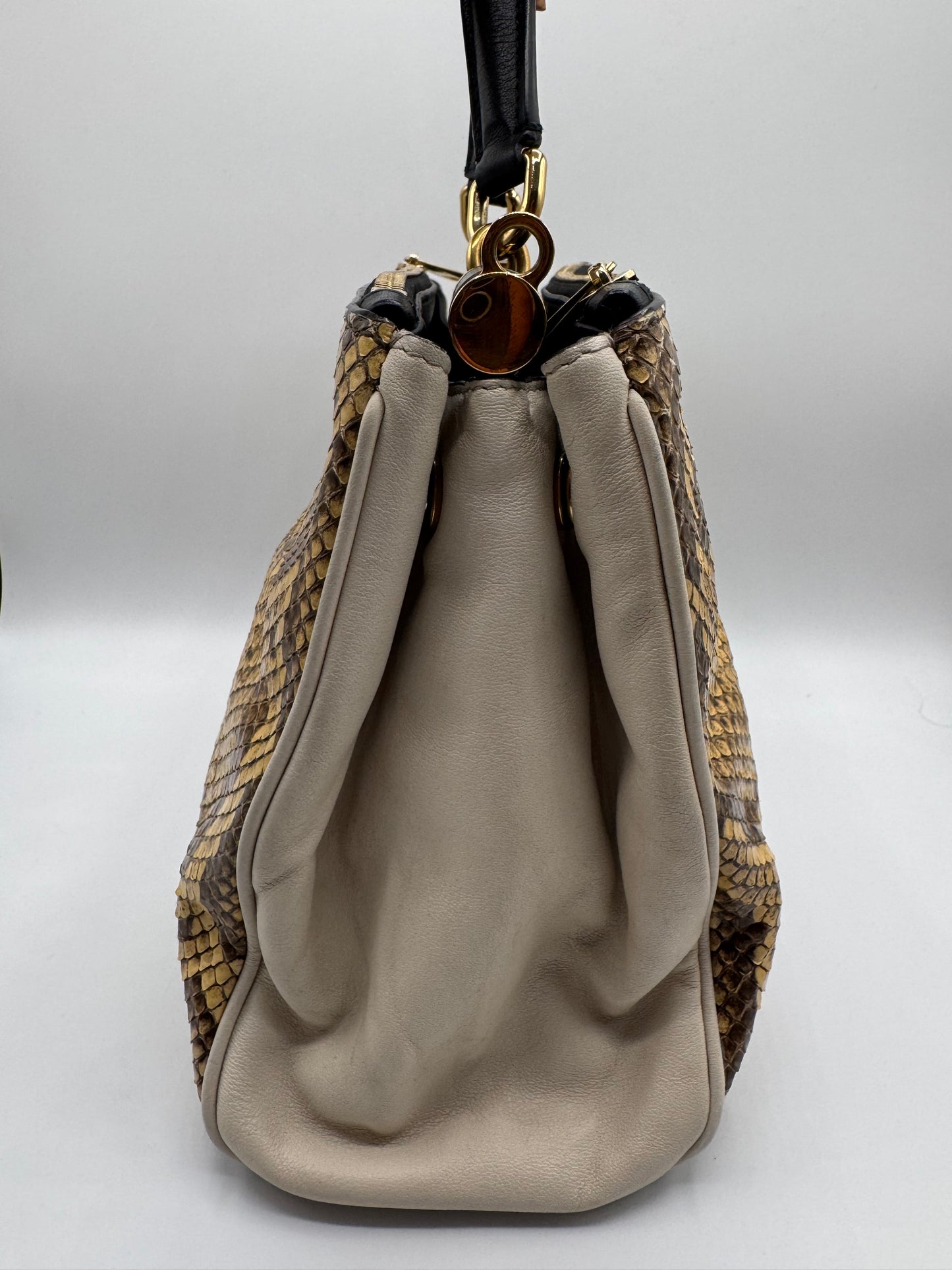 Dolce & Gabbana Snakeskin Bag