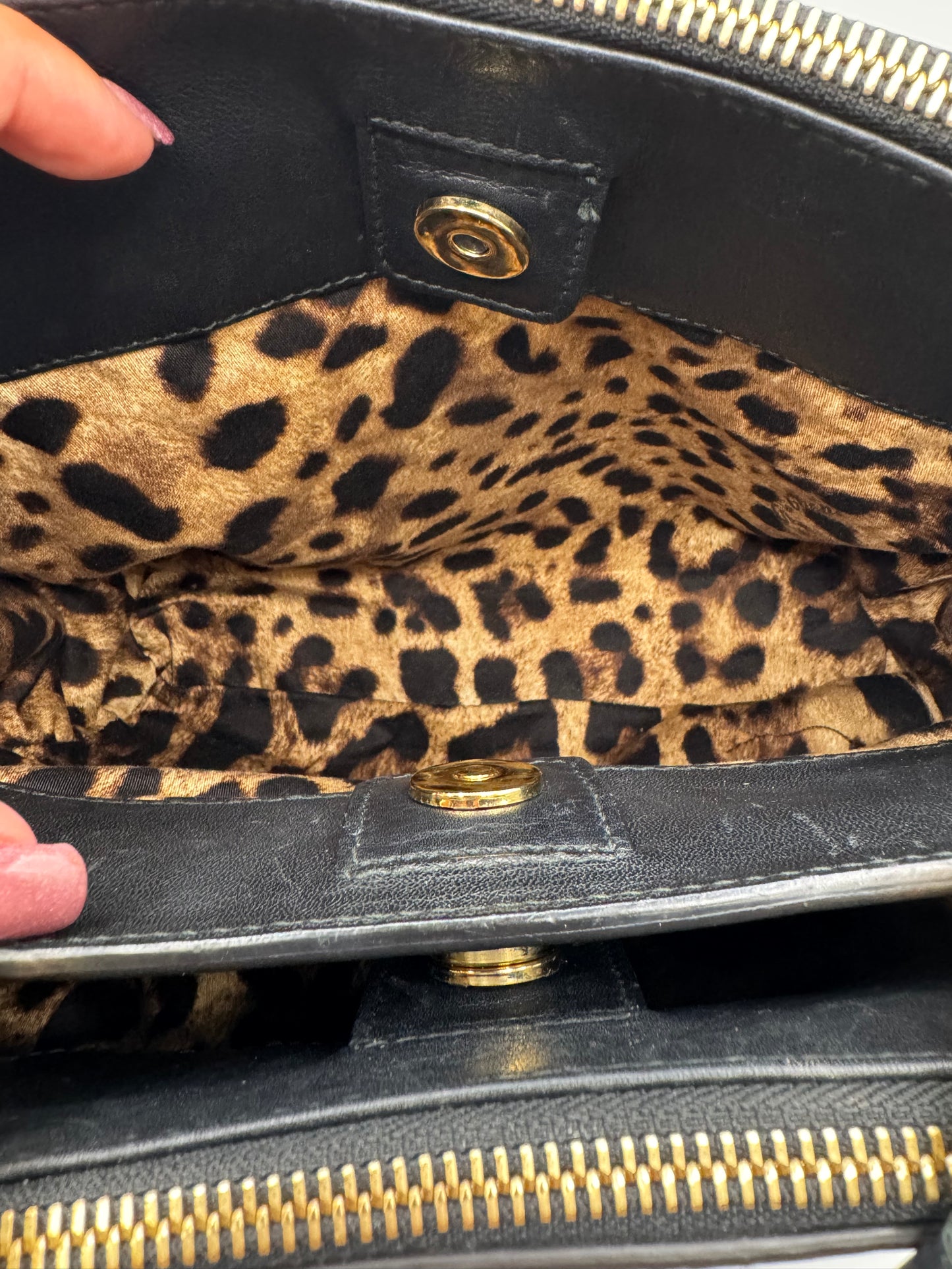 Dolce & Gabbana Snakeskin Bag
