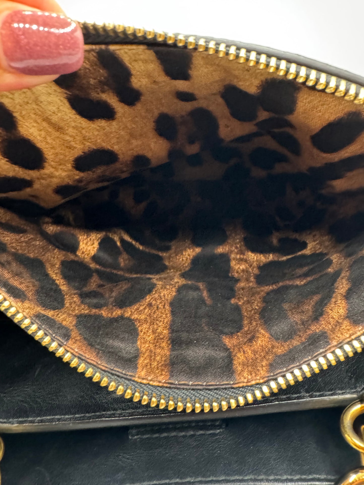 Dolce & Gabbana Snakeskin Bag