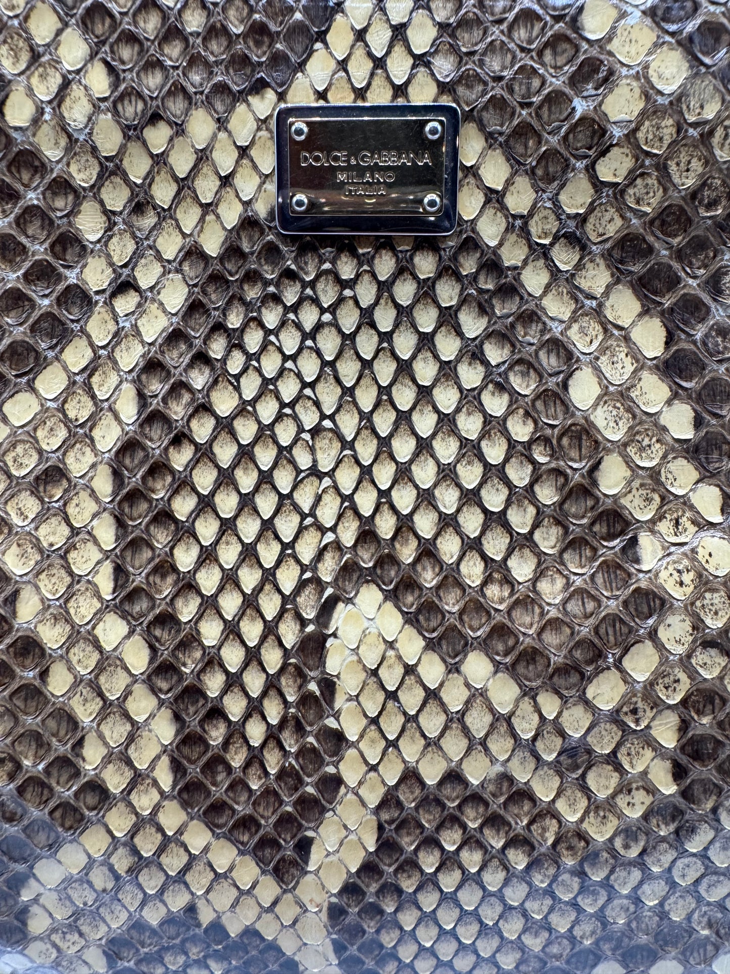 Dolce & Gabbana Snakeskin Bag