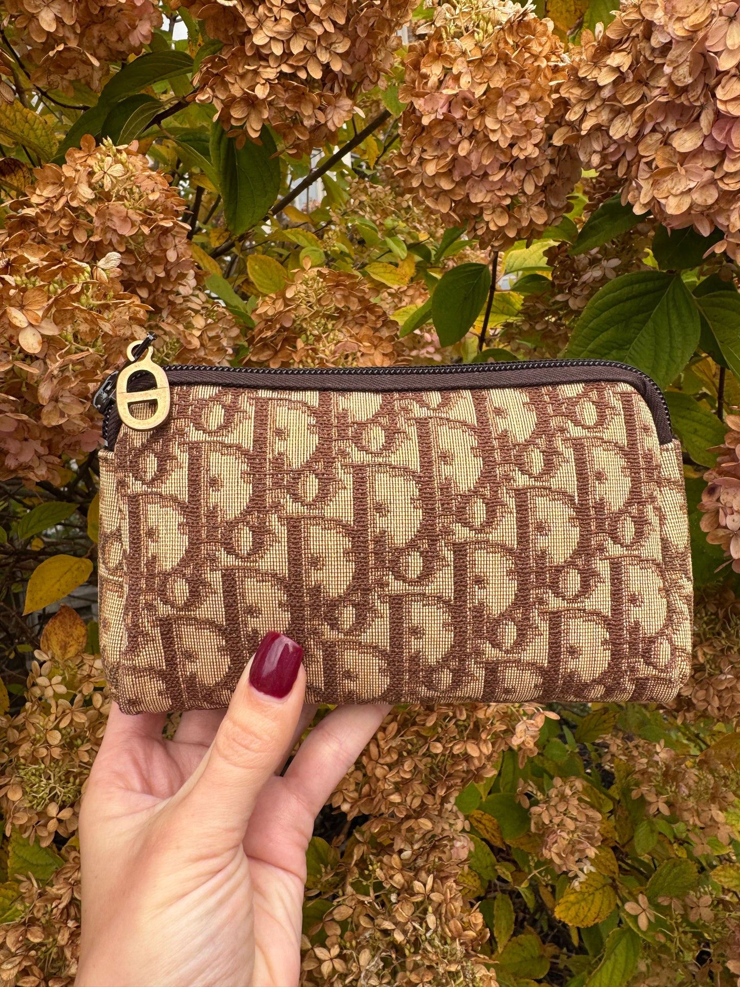 Vintage Dior Trotter Pouch/Mini Clutch- Brown